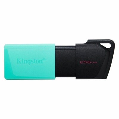 Флеш пам'ять USB Kingston DataTraveler Exodia M 256GB USB 3.2 Gen1 Black/Teal 01021202103 фото